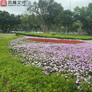 sxcc春暖花开十年论坛
